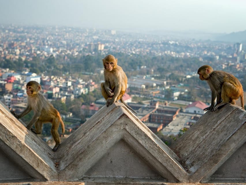 Chandragiri Cable Car Adventure & Swayambhunath Temple Visit - Health and Safety Guidelines