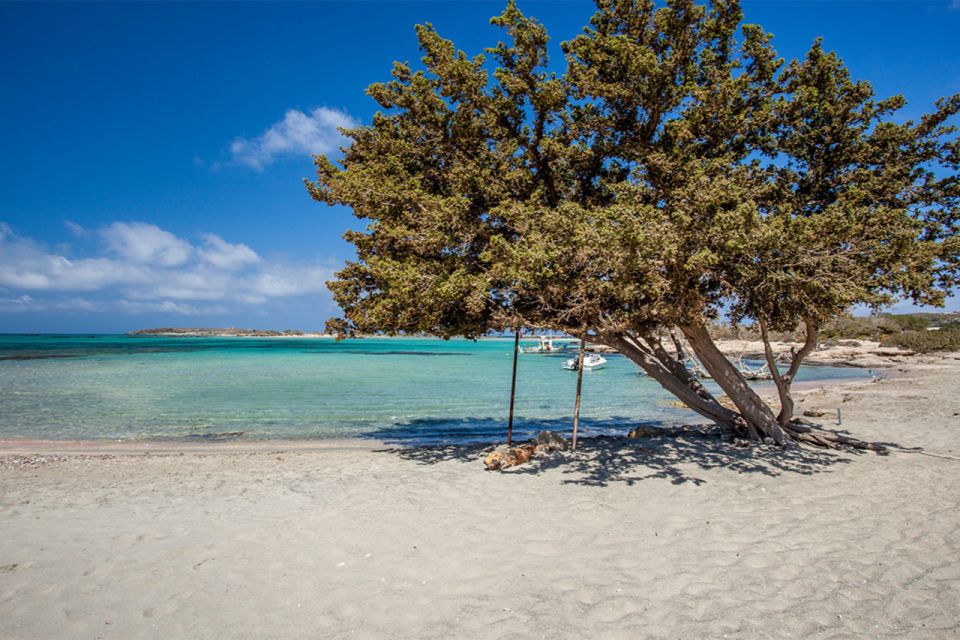 Chania: Elafonisi and Milia Mountain With Loungers and Lunch - Tips for a Great Experience