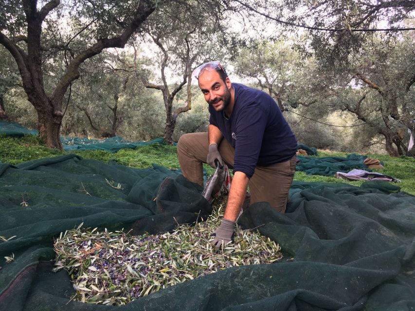 Chania Private Olive Oil Tour: Oil Tasting & Villages Tour - Booking Information