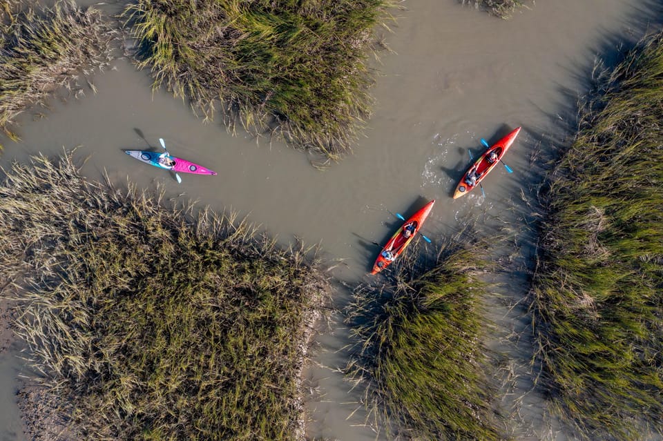 Charleston: Folly Beach Afternoon Kayak Dolphin Safari - Guided Tour Experience