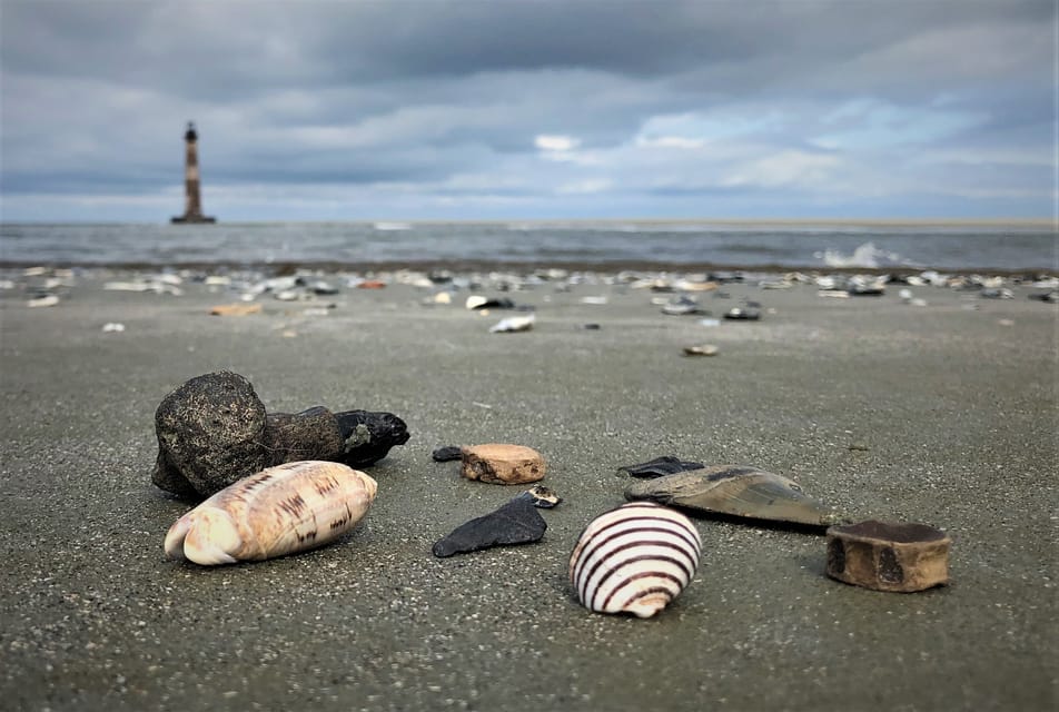 Charleston: Morris Island Dolphin Cruise With Beachcombing - Frequently Asked Questions