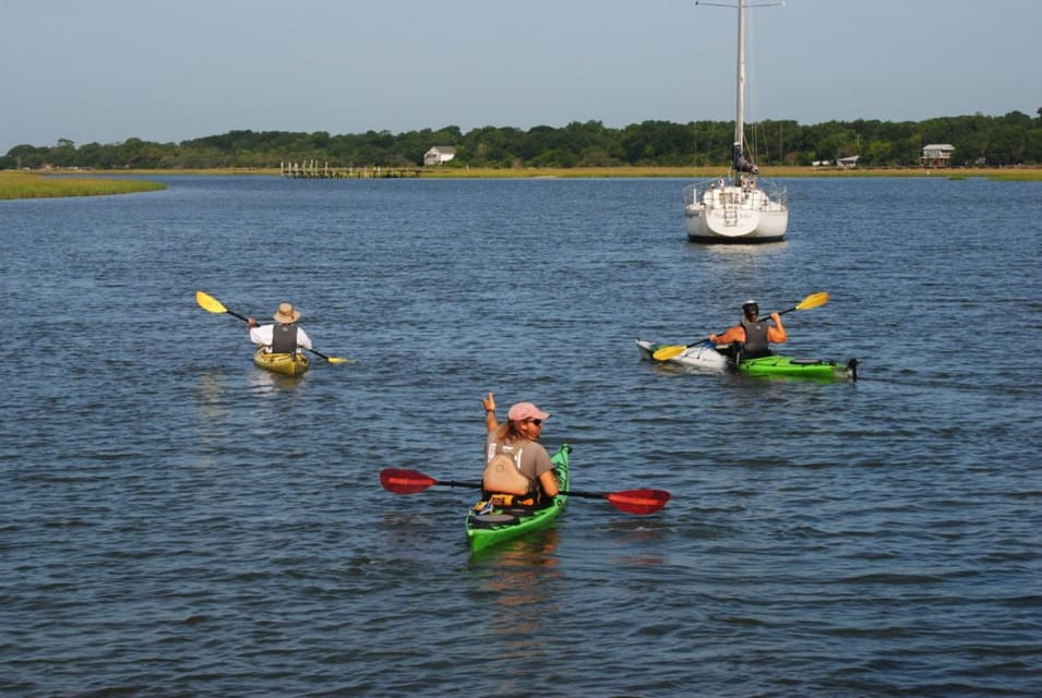 Charleston: Tandem or Single Kayak Tour With a Guide - Wildlife and Nature Exploration