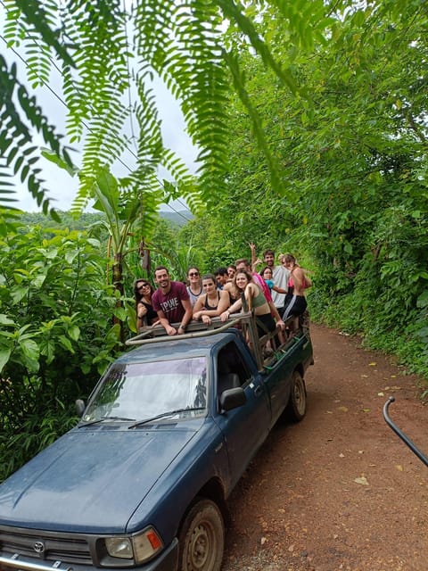 Chiang Mai Day Tours - Elephant Interaction