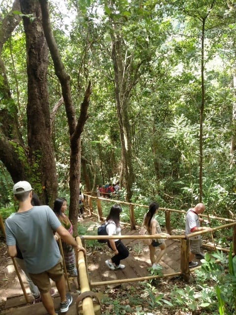 Chiang Mai: Doi Inthanon Park and Pha Dok Siew Hike Day Trip - Additional Information