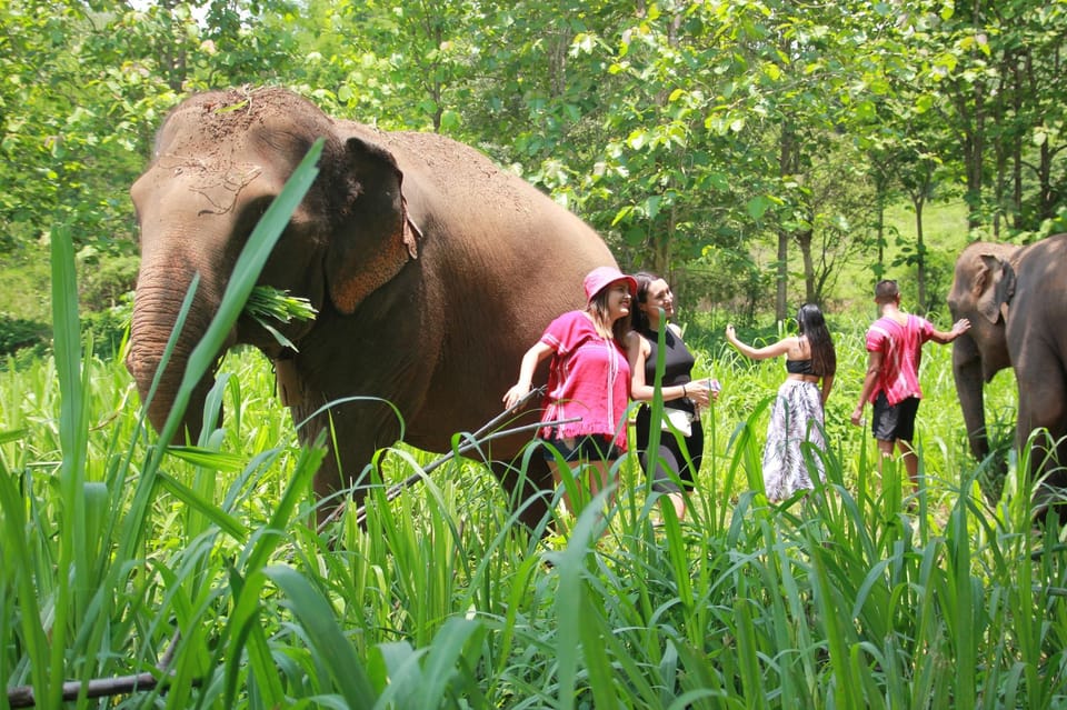 Chiang Mai: Full Day Elephant Eco Park Tour + Bamboo Rafting - Frequently Asked Questions