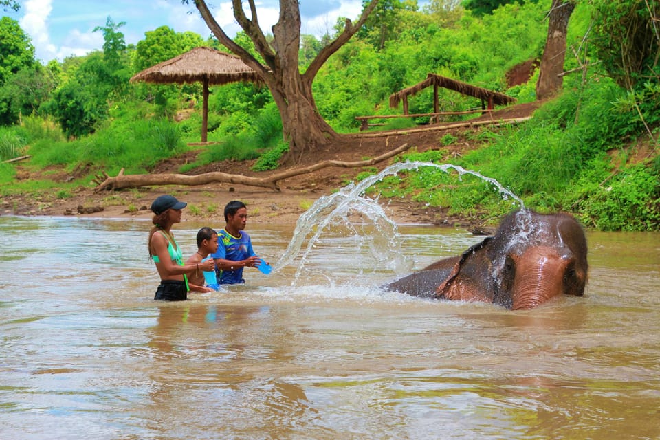 Chiang Mai: Living Green Elephant Sanctuary & Bamboo Rafting - Pickup and Transportation