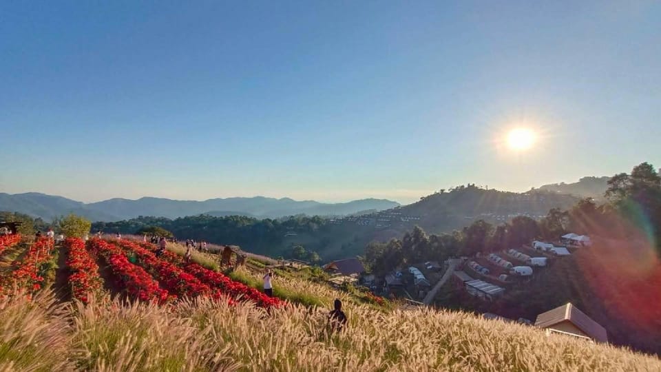 Chiang Mai: Minivan Rental With Driver to Doi Mon Jam - Strawberry Picking and Flower Farm Exploration