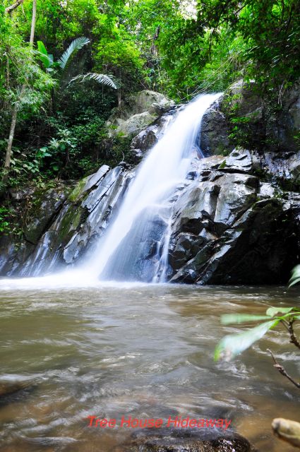Chiang Mai: Tree House Stay & Jungle Zip-Lining - Frequently Asked Questions