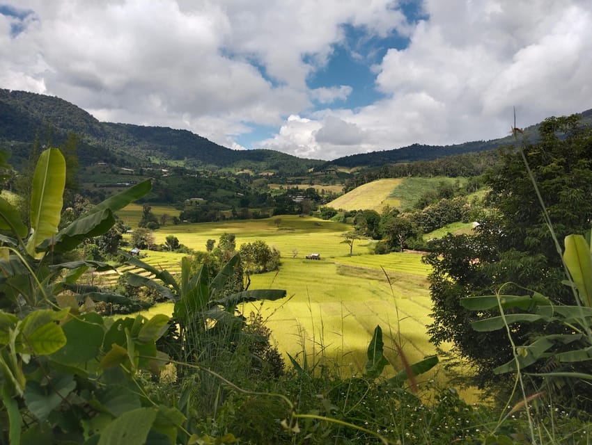 Chiang Mai Trekking (Non-touristic Trail) - Unique Experiences