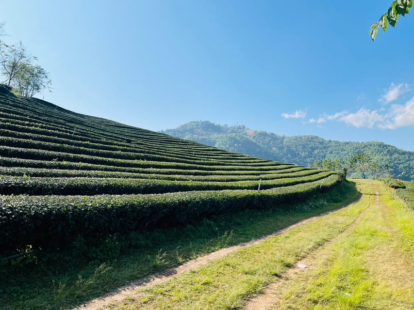 Chiang Rai: Private Bespoke Sightseeing Tour - Golden Triangle