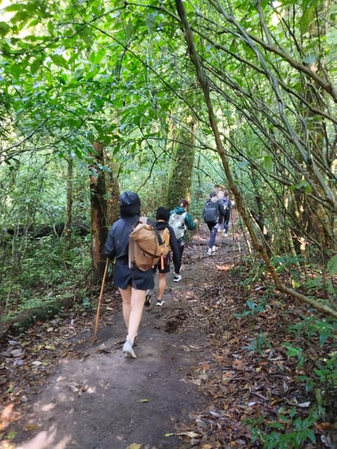 Chiangmai Sunrise Hike - Reaching Doi Pui Peak