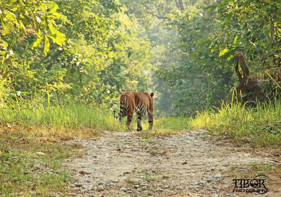 Chitwan Jungle Safari 2 Nights 3 Days - Preparing for the Trip