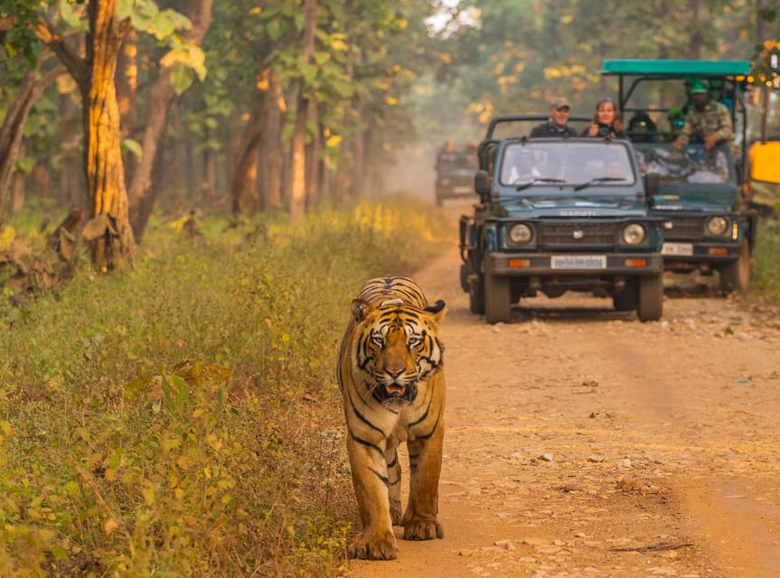 Chitwan: One Day Jeep Safari, Canoeing, Forest Walk - Best Time to Visit Chitwan