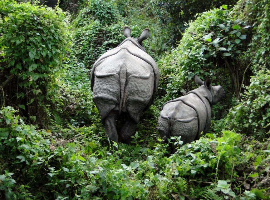 Chitwan Safari 3 Nights 4 Days Tour - Booking Information and Policies