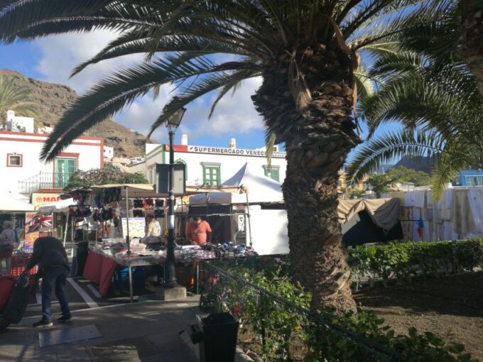 City Treasures Unveiled: 3.5-Hour Las Palmas Taxi and Walkin - Explore Historic Vegueta