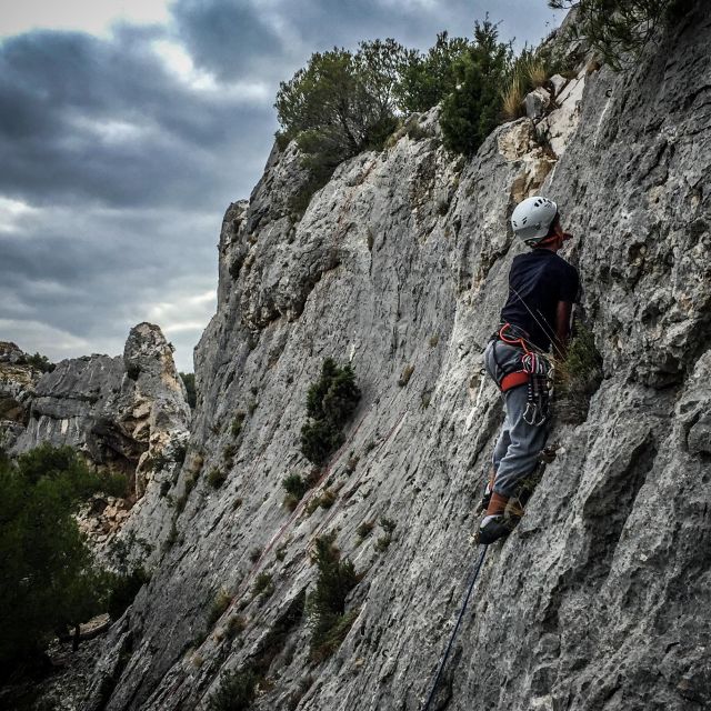 Climbing Discovery Session in the Calanques Near Marseille - Customer Reviews and Ratings