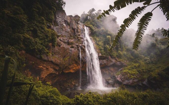 Colombo to Adams Peak Tour - Contact Information