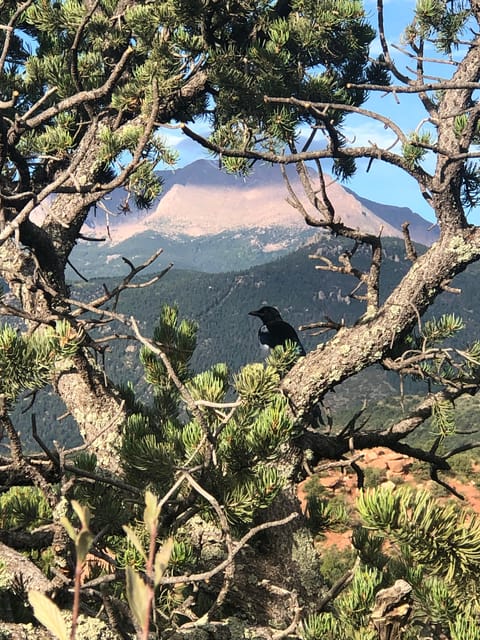 Colorado Springs: Garden of the Gods & Manitou Springs Tour - Wildlife Viewing Opportunities