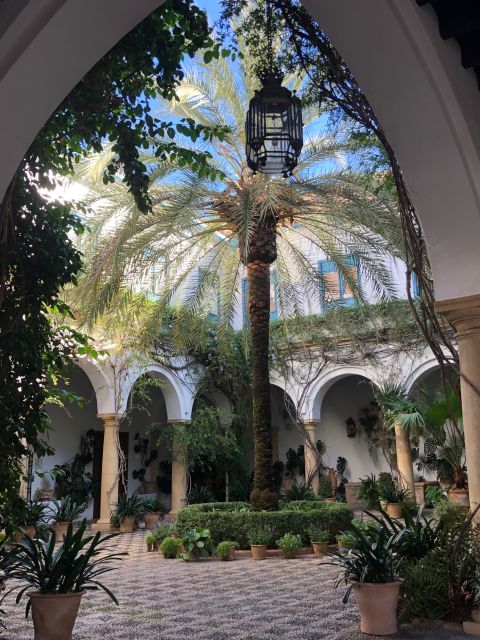 Córdoba: Private Bike Highlights Tour With Personal Guide - Language Options