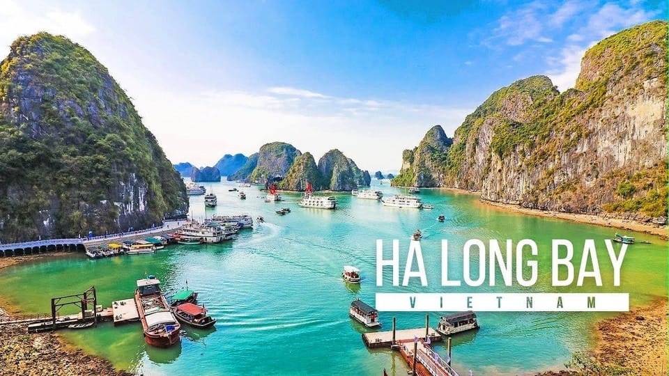 Cozy Halong - Excellent Halong Bay Day Cruise All Inclusive - Booking and Cancellation Policy