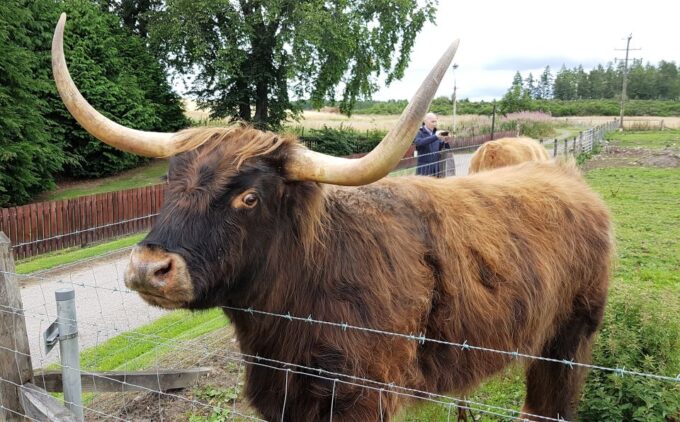 Craigs Luxury Speyside Private Whisky Tour - Customer Experiences