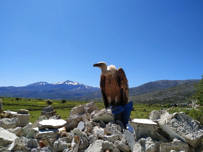 Crete: Lasithi Plateau and Cave of Zeus Off Road Safari Tour - Transportation and Accessibility