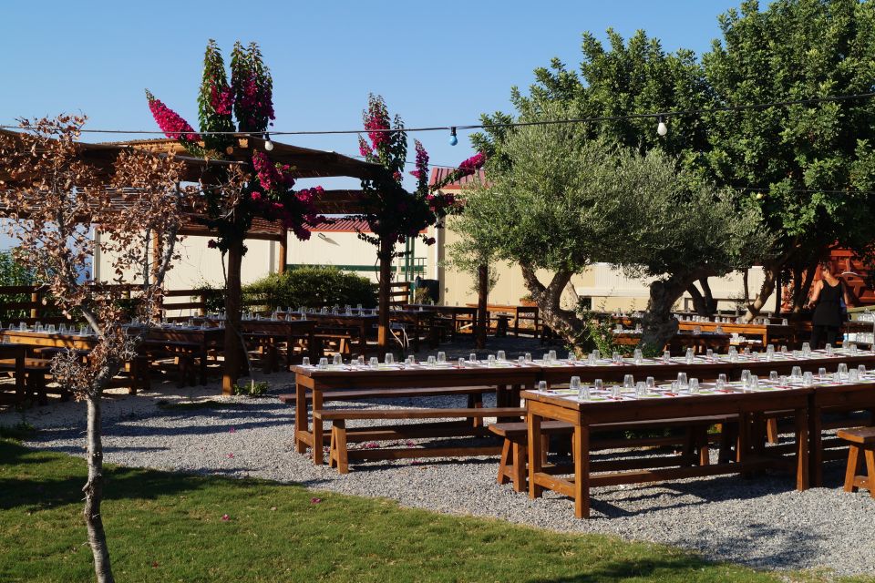 Crete: Olive Oil Factory Tour, Dinner & Traditional Dancing - Authentic Dining Experience