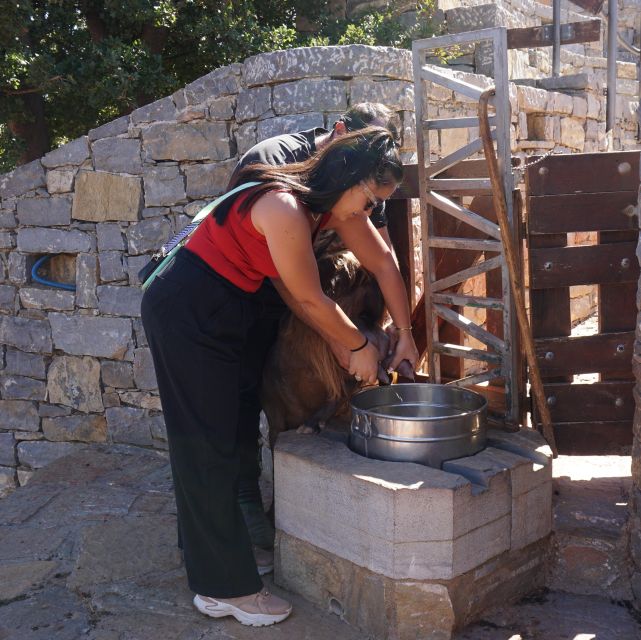 Crete: Shepherd'S Life & Psiloritis Mountain Tour With Meal - Customer Reviews and Ratings