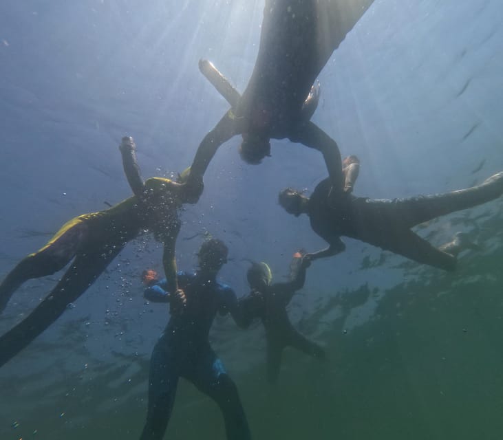 Crystal River: Guided Manatee Snorkeling Tour - Booking and Cancellation Policy