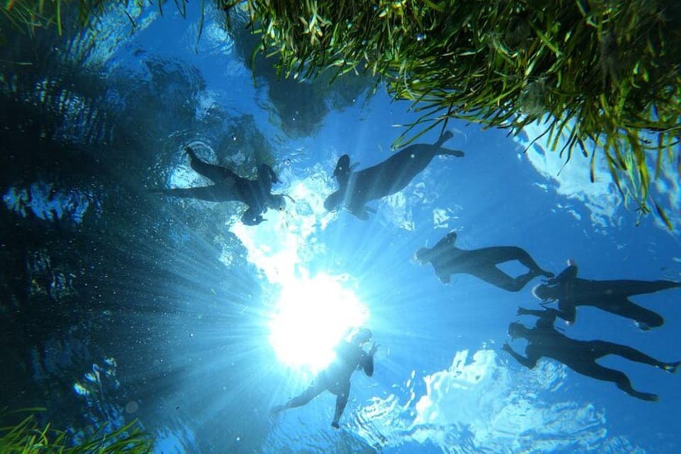 Crystal River: Manatee Snorkel With In-Water Guide - Frequently Asked Questions