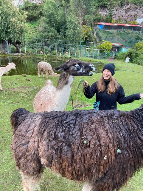 Cusco: Sanctuary of Animals Rescued Cochahuasi - Tips for Your Visit