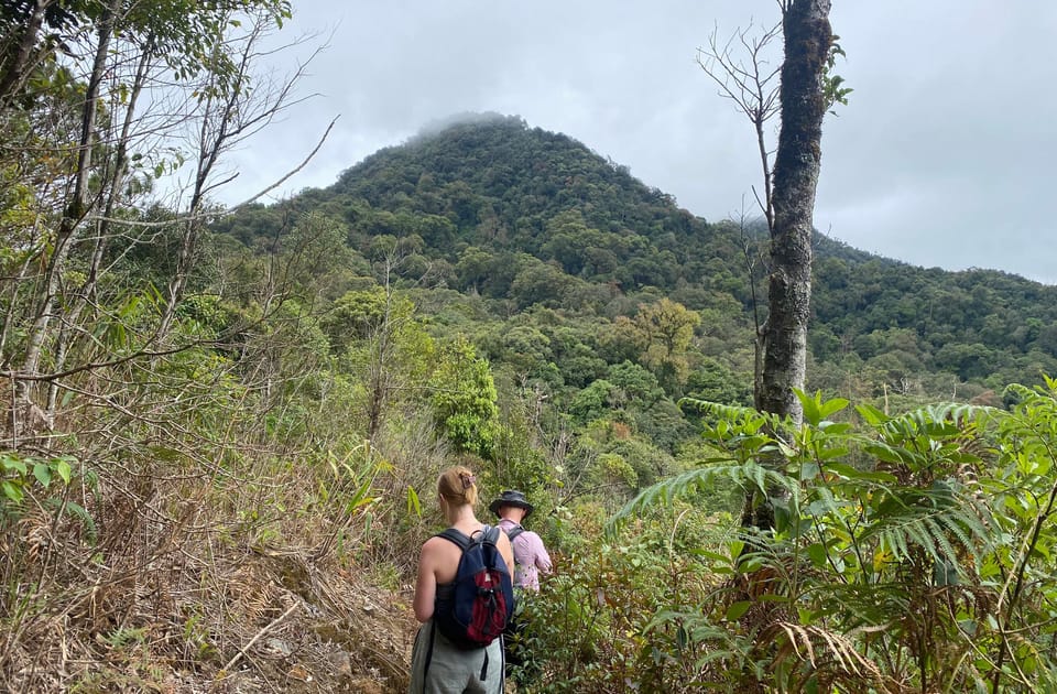 Da Lat: Trekking on Langbiang Mountain - How to Book Your Adventure