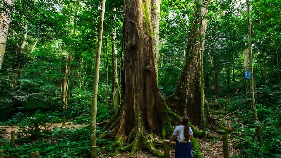 Day Trip for a Group to Cuc Phuong National Park - Frequently Asked Questions