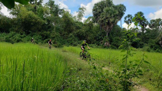 Day Trip From Sihanoukville to Phnom Penh for Cruise Ship - Booking and Cancellation Policy