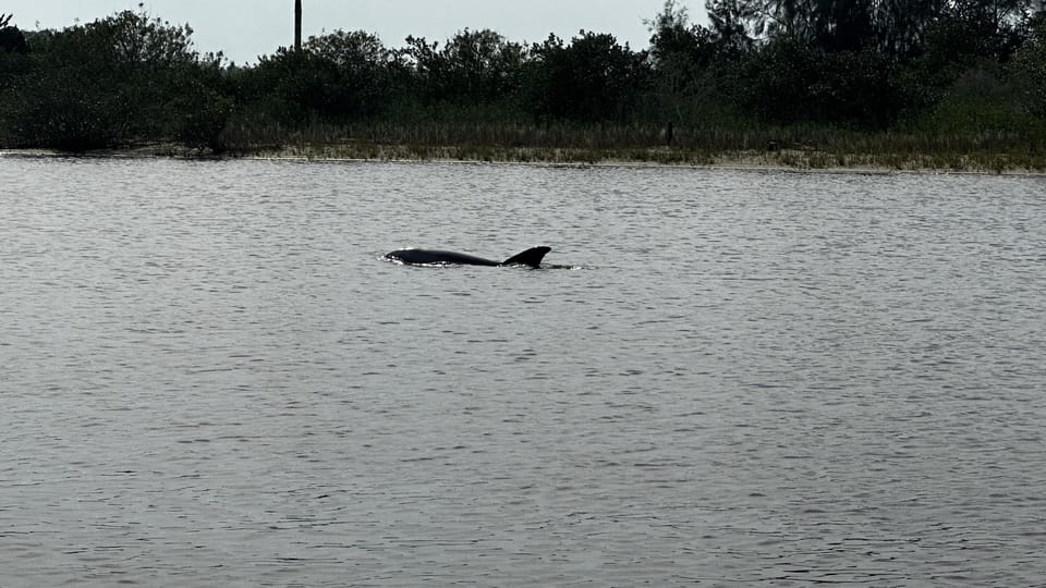 Daytona Beach: 2 Hour Coastal Discovery Boat Cruise - Nearby Attractions