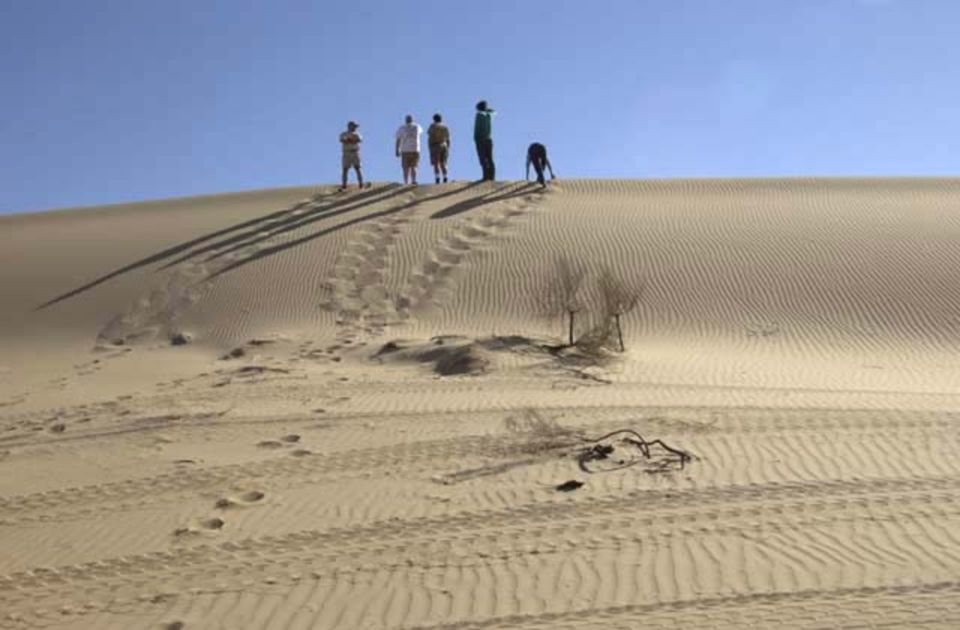 Discover Maio Island in 1 Day Trip - Relaxing at Deserted Beaches