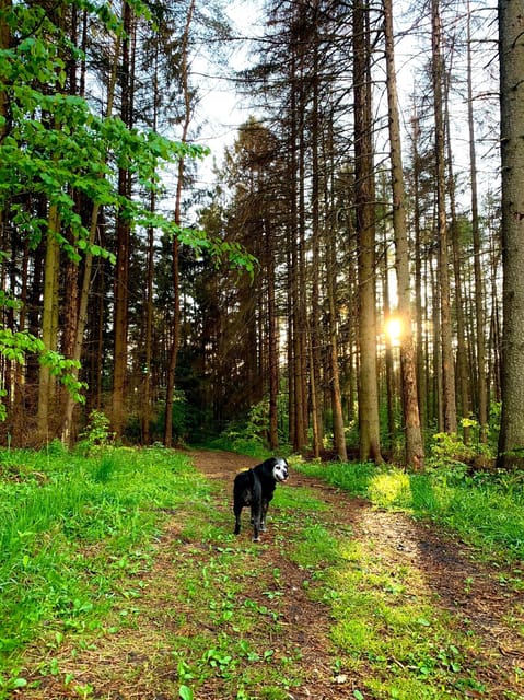 Discovering the Rhön With All Its Facets - Frequently Asked Questions