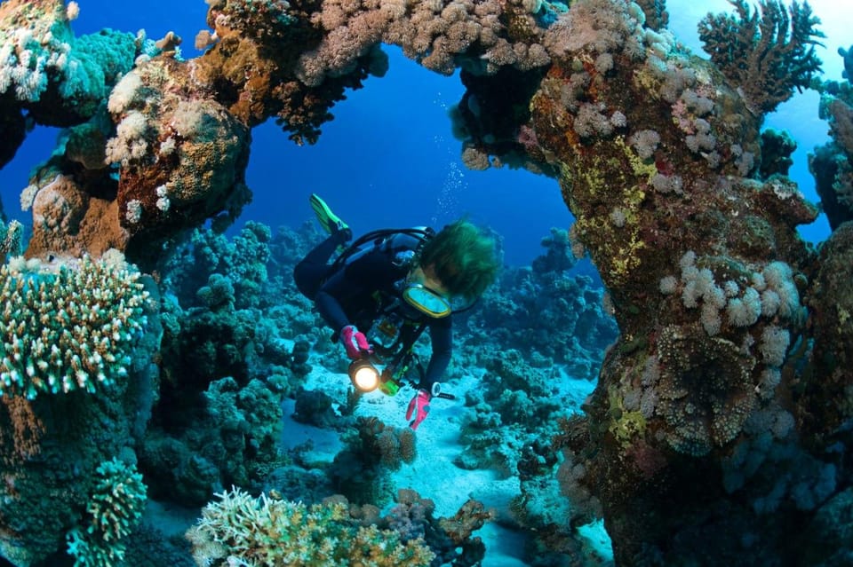 Dive Into Adventure: Explore Racha Island 3 Dives - Frequently Asked Questions