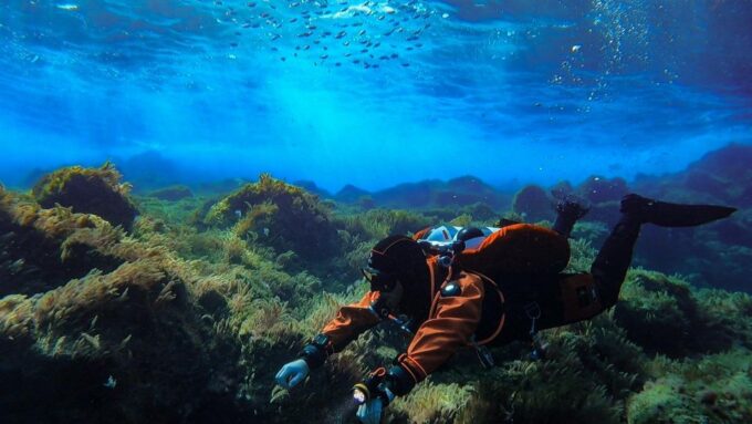 Diving at Lanzarote - 2 Guided Dives for Certified Divers - Customer Reviews and Ratings