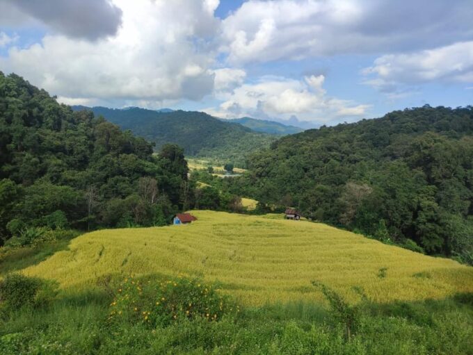 Doi Inthanont Soft Trek Pha Dork Siew Waterfall - Booking and Availability