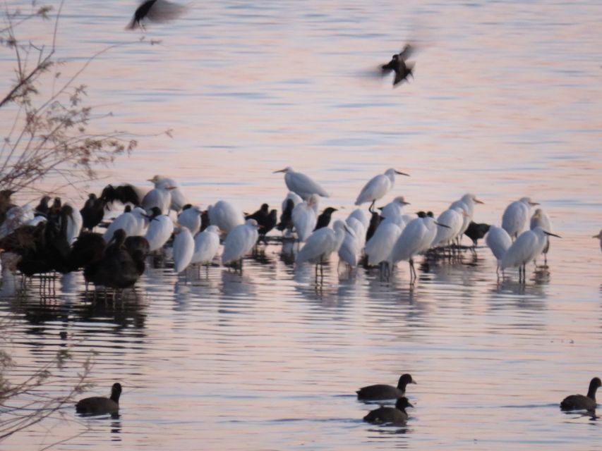 Doñana National Park: 2-Day Tour From Seville - Transportation and Small Group Experience