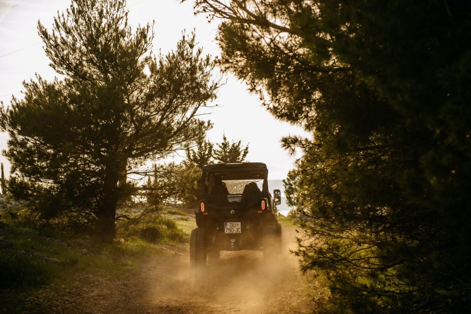 Dubrovnik: Private Buggy Safari Guided Tour (3 Hours) - Local Delicacies Surprise