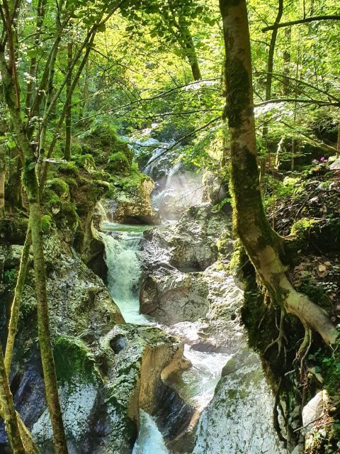 E-Bike Tour to the Great Soča Gorge & Šunik Water Grove - Directions and Parking