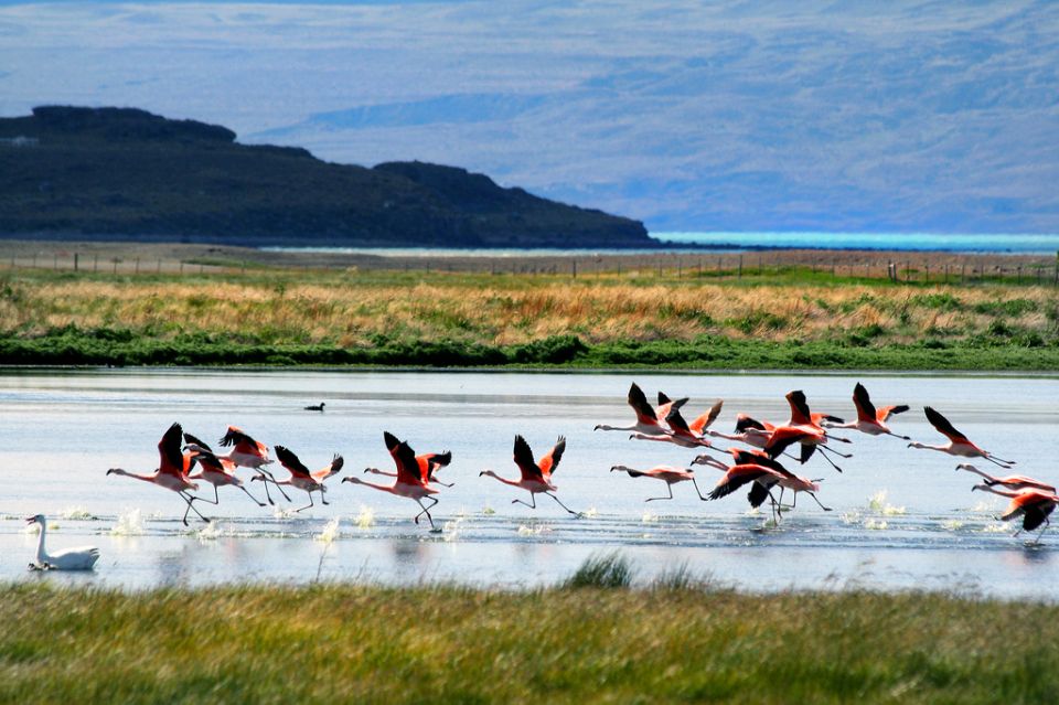 El Calafate City Tour and Walichu Caves - Tips for Participants