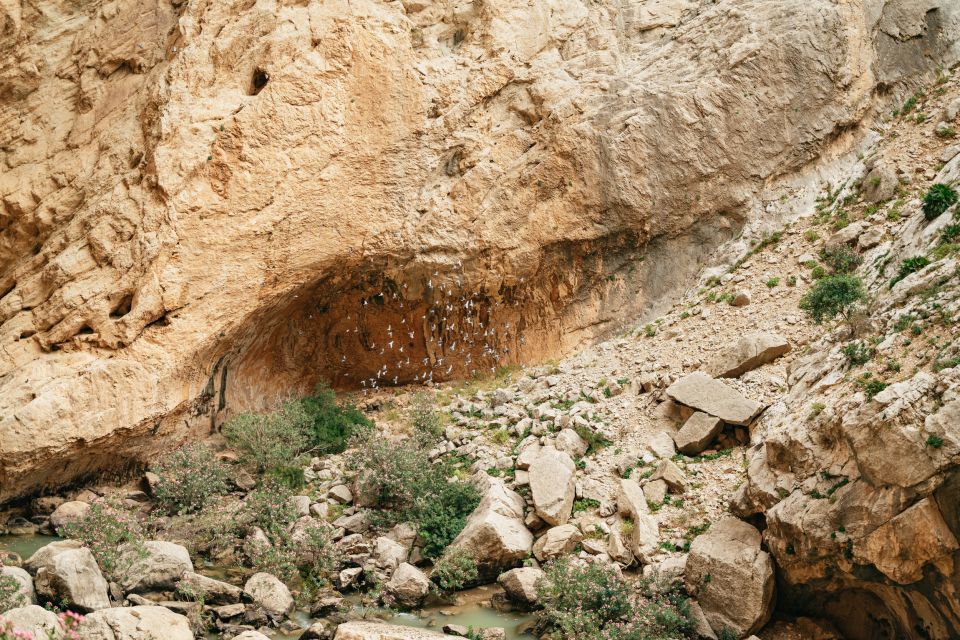 El Chorro: Caminito Del Rey Guided Tour With Shuttle Bus - Additional Tips and Recommendations