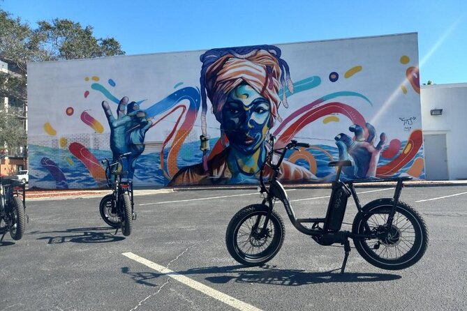 Electric Bike Guided City & Mural Tour - Guest Reviews and Feedback