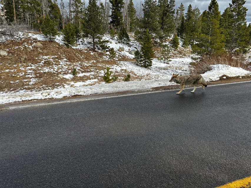 Estes Park: Rocky Mountains Trail Ridge Panoramic Bus Tour - Elevation Changes