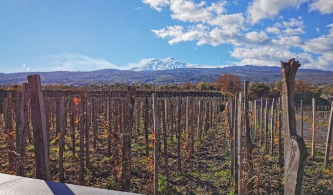 Etna & Wine Tour - Frequently Asked Questions