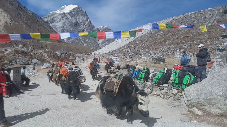 Everest Base Camp Trek - Safety and Health Tips