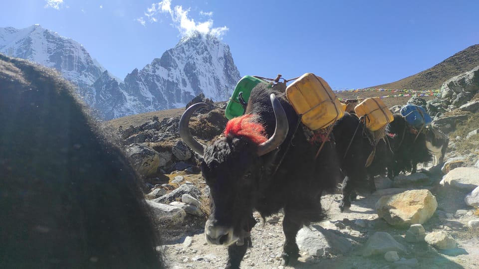 Everest Base Camp Trek : Ultimate Adventure - Best Time to Trek